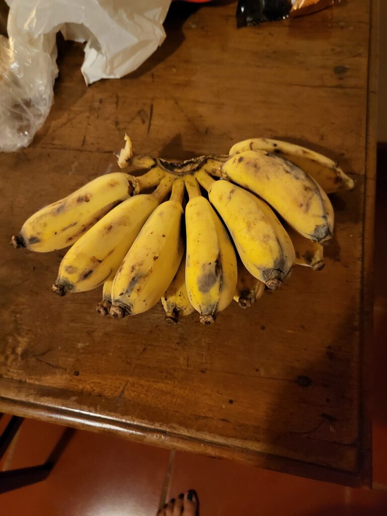 IN DEUTSCHLAND WÜRDE ICH DIESE BANANEN NIEMALS KAUFEN! Kurz vor ...